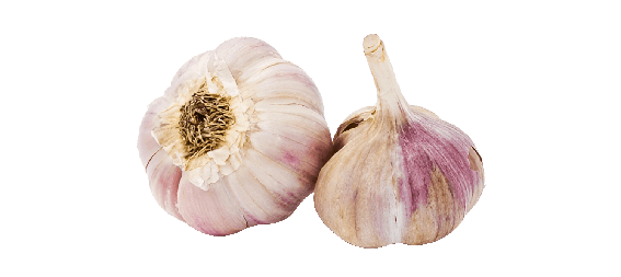 dry garlic
