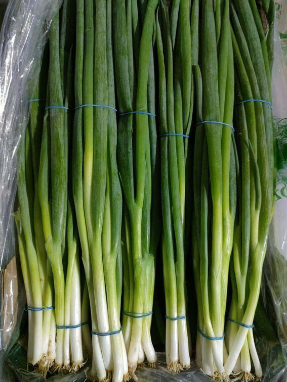 spring onions