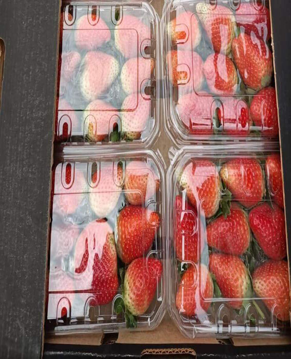 strawberries